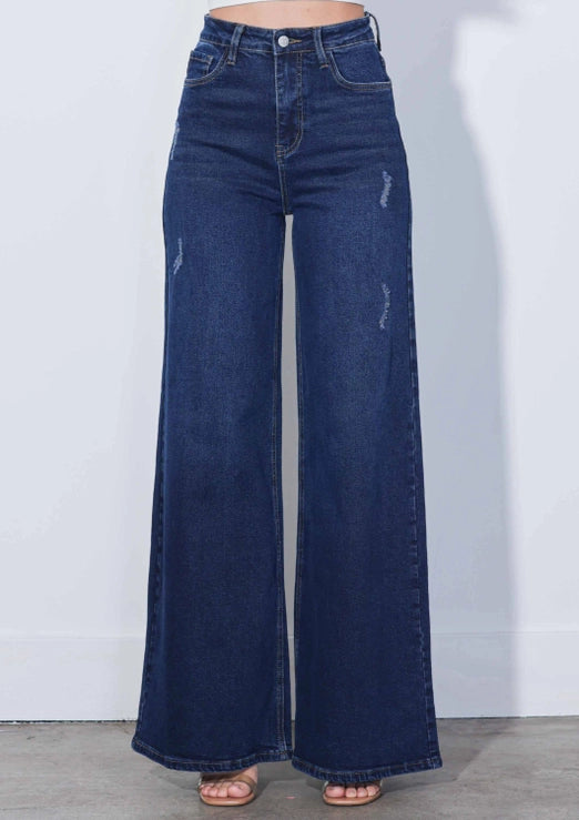 Vibrant High-Rise Extra Wide Leg Jeans