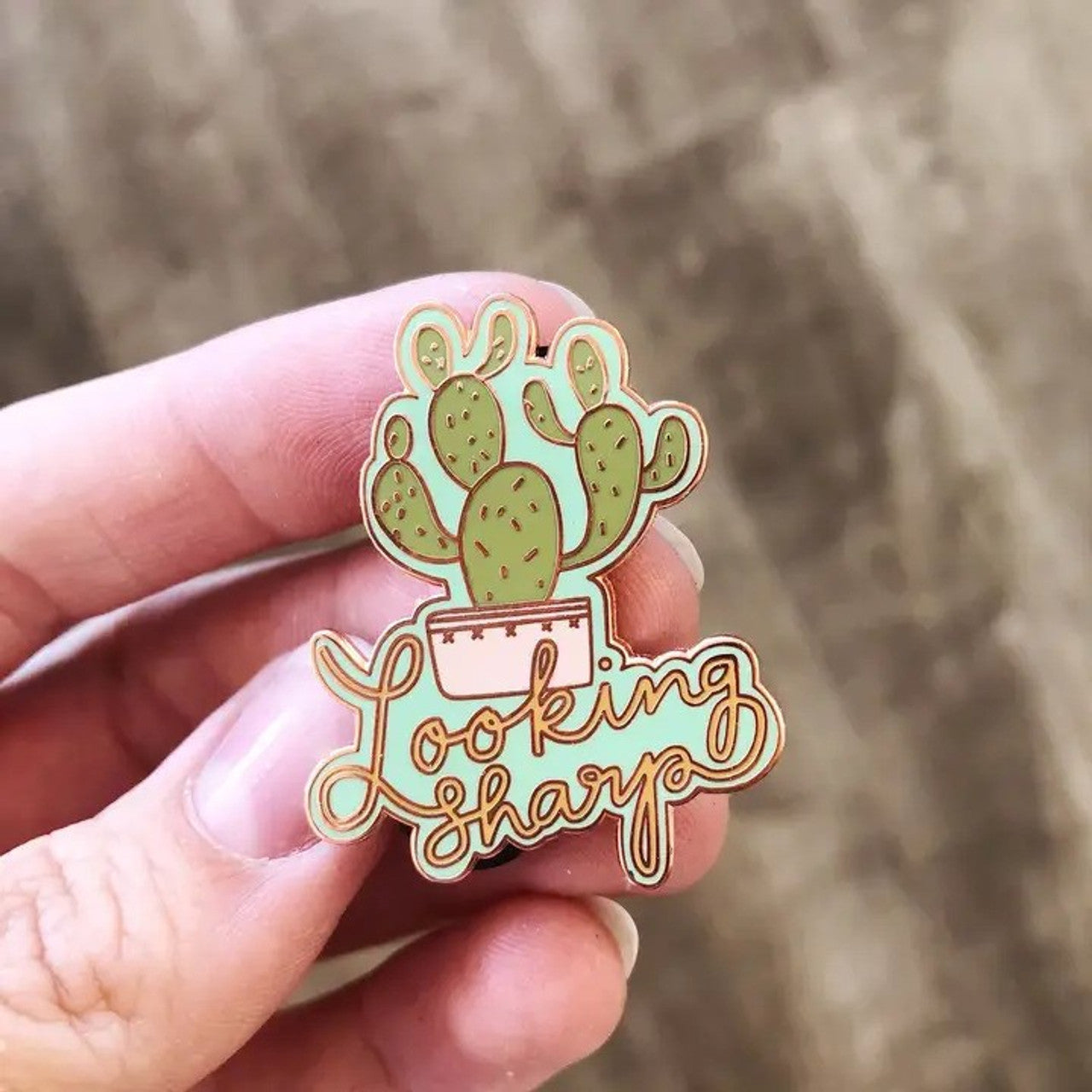 Assorted Enamel Pins