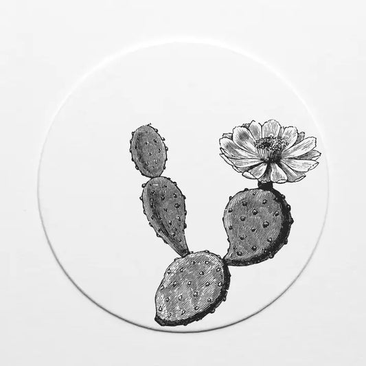 Coasters